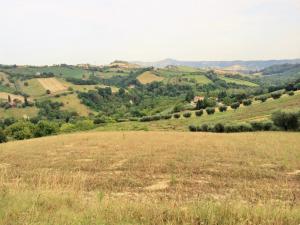 Terreno Agricolo in Vendita a Monsampolo del Tronto #6