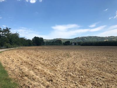 Terreno Agricolo in Vendita a Spinetoli #5