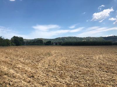 Terreno Agricolo in Vendita a Spinetoli #6