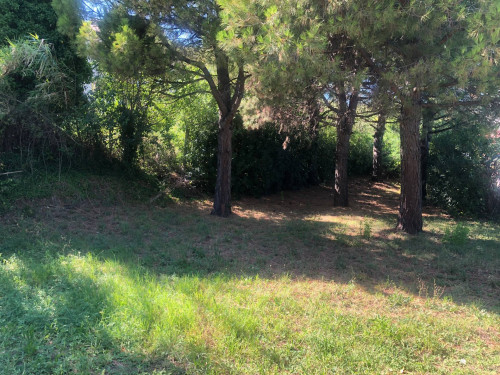 Rustico in Vendita a Offida #5