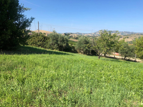 Rustico in Vendita a Offida #24