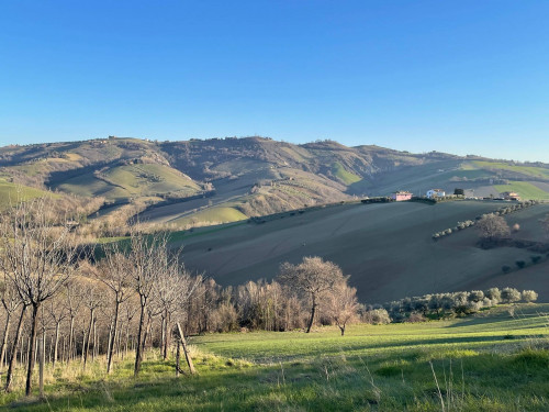 Casa singola in Vendita a Castignano #20