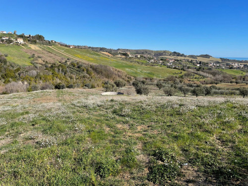 Terreno Agricolo in Vendita a Acquaviva Picena #4