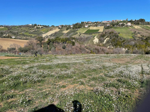 Terreno Agricolo in Vendita a Acquaviva Picena #6