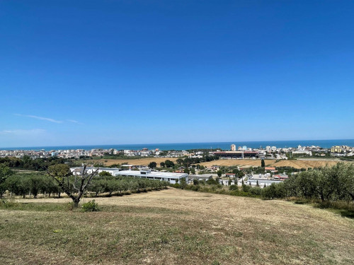 Terreno Agricolo in Vendita a San Benedetto del Tronto #3