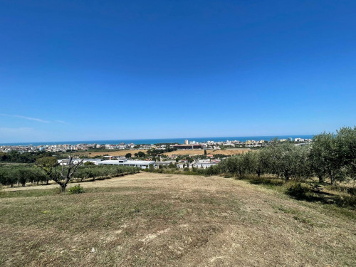 Terreno Agricolo in Vendita a San Benedetto del Tronto #4